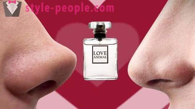 Perfume com feromônios: comentários, mito ou realidade, como o ato