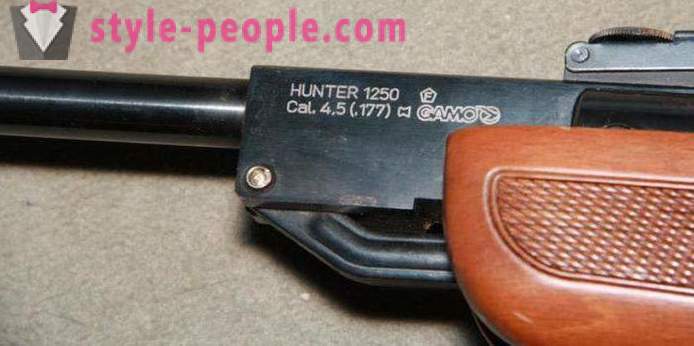 Rifle de ar Gamo Hunter 1250: descrição, características e comentários