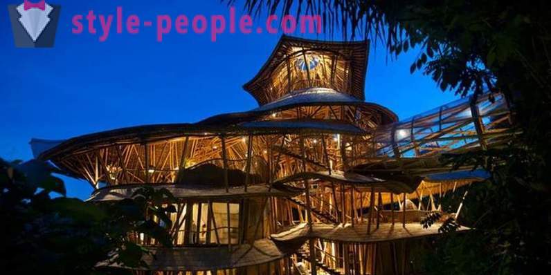 Ela deixou o emprego, foi para Bali e construiu uma casa de luxo de bambu