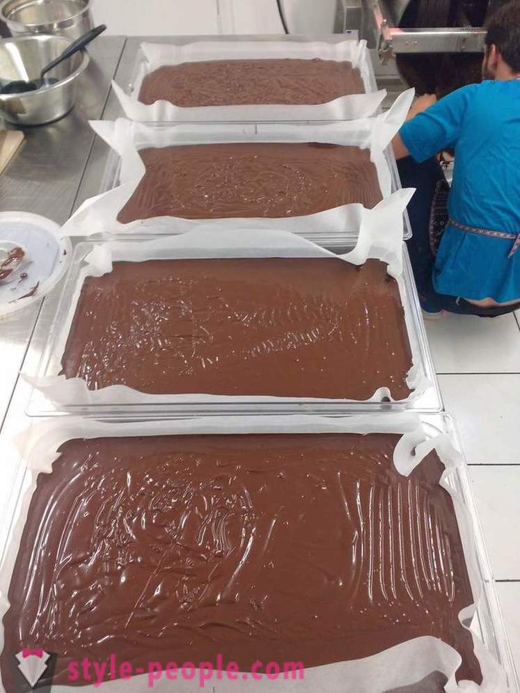 O processo de crescimento e produção de chocolate