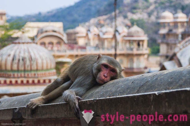 Viajar para Jaipur Indian