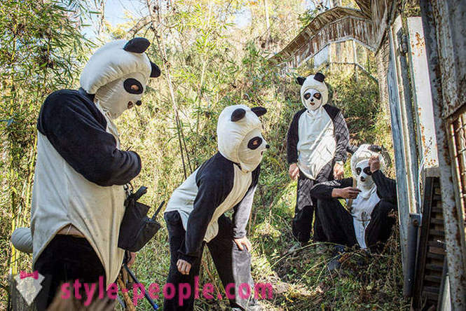 Como crescer pandas gigantes em Sichuan