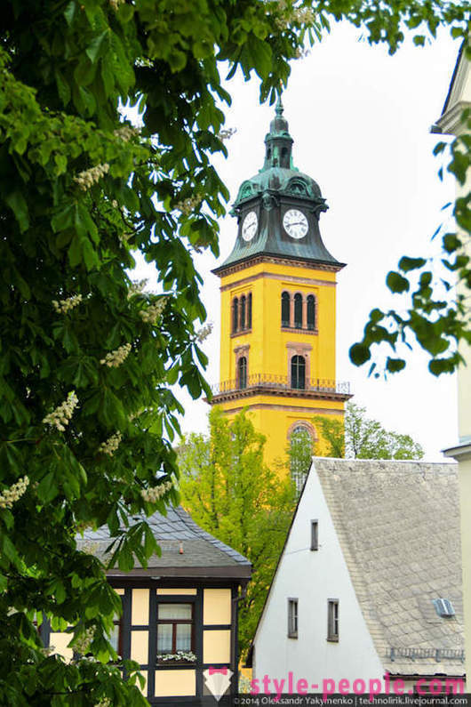 Teleférico Viagem Floresta e cidades em Saxônia