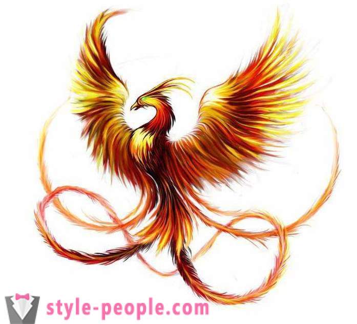 Phoenix Tattoo: esboços e opções