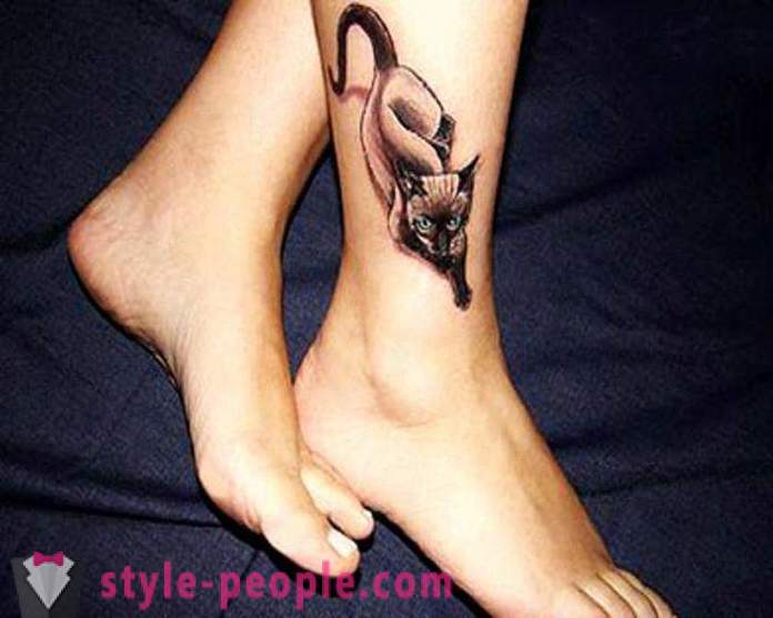 A tatuagem na perna do gato: uma foto, um valor