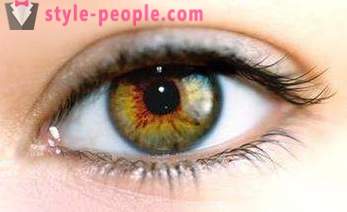 Cor dos olhos pântano. O que determina a cor do olho humano?
