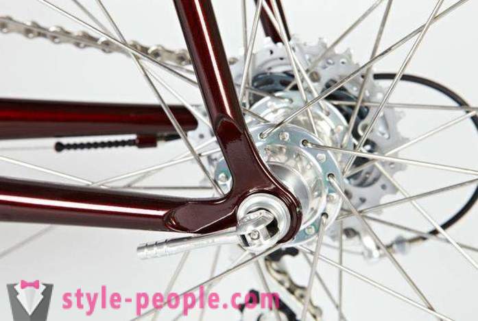 Estrada Bicicletas: Características, descrição, fotos e comentários sobre os produtores