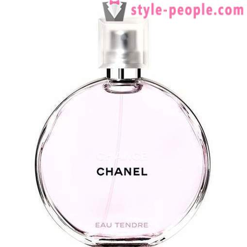 Chanel Possibilidade Eau Tendre: comentários de preços