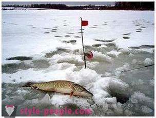 Pesca Pike no inverno zherlitsy. pesca Pike no corrico inverno